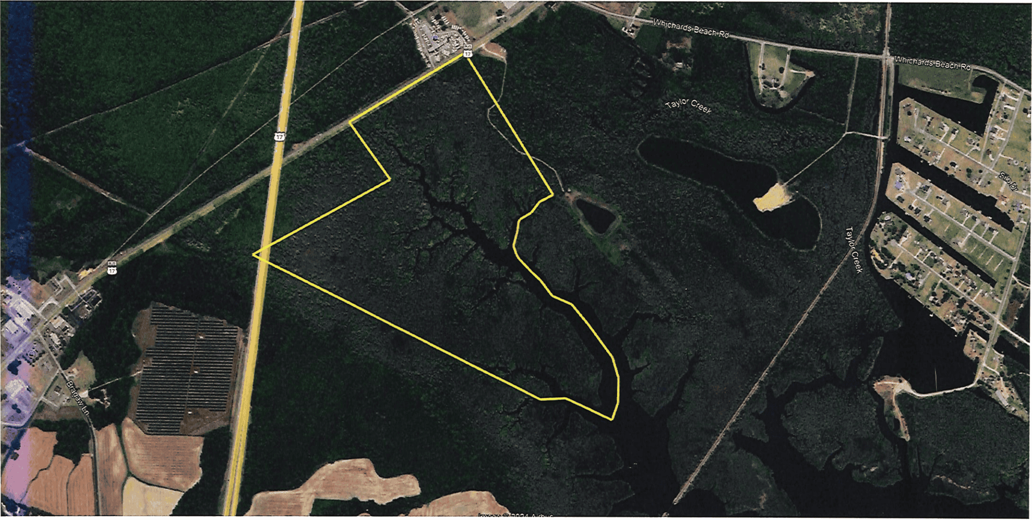 Affordable Hunting Tract in Chocowinity, NC – 119 AC